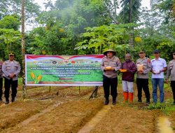Polres Supiori Gelar Penanaman Jagung Serentak dan Resmikan Gudang Ketahanan Pangan Polri Dukung Swasembada Pangan 2025
